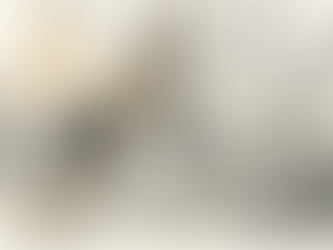 En medicinsk översättare sitter på kontoret och granskar dokument noggrant.