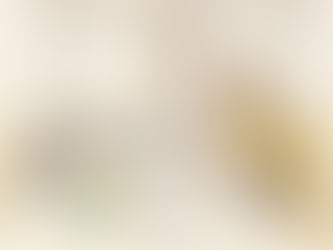 En forretningskvinne sørger for sikker håndtering av oversettelser på kontoret.