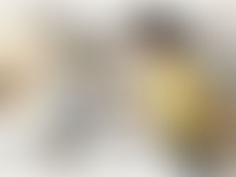 En oversætter sidder derhjemme og arbejder koncentreret foran sin bærbare, omgivet af papirer og dokumenter.