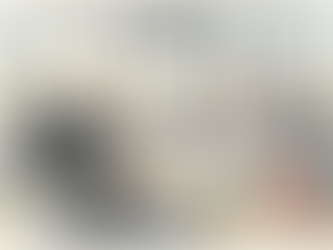 Manager and translator reviewing defense documents