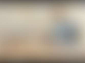 En oversetter sitter i et hjørnekontor og går nøye gjennom dokumenter.