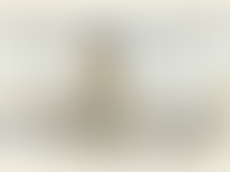 Manager reviewing compliance documents in corner office