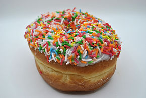 Sprinkle Donut (2).JPG