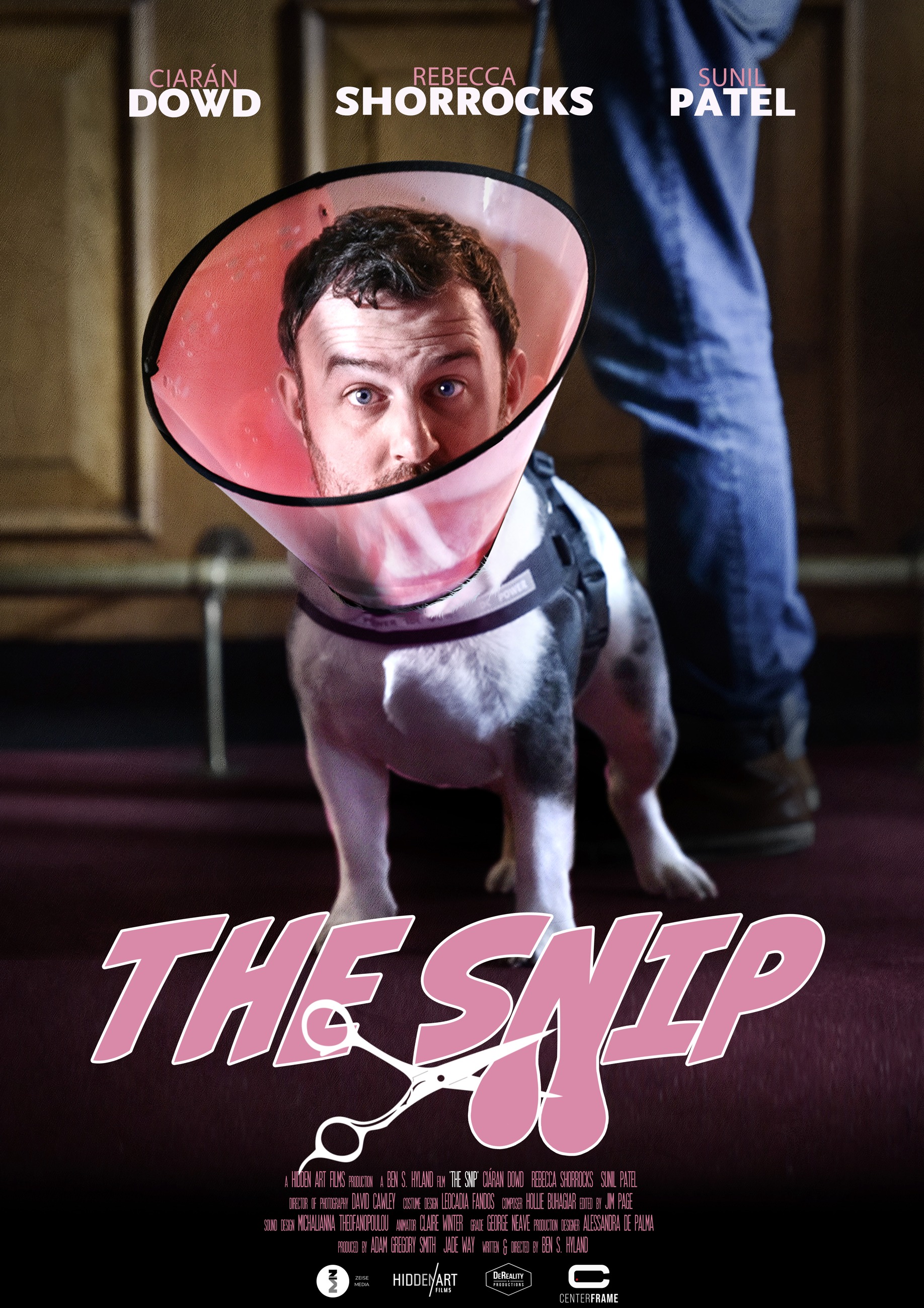 The Snip original poster