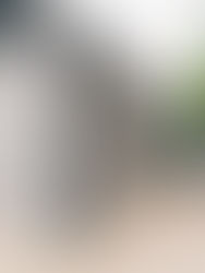 An outdoor space fully concealed by zip track blinds