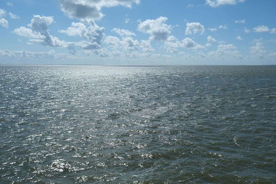 Meer_Sonne_strand_Inselurlaub_Möwe__6_Z