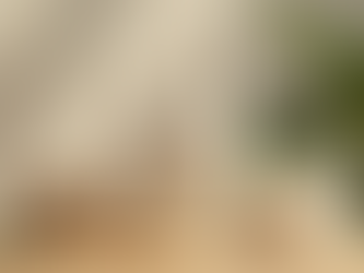 Unbiased Reviews of Grams Dsd Skincare Products