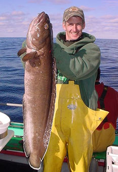 A good catch aboard the Bunny Clark deep sea fishing charter - Perkins Cove, Maine.