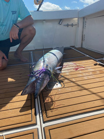fish on the deck