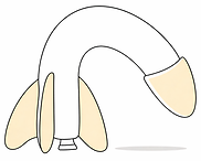 ED.png