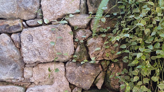 JARDIM EVEZU