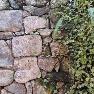 JARDIM EVEZU