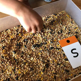 n - bird seed letters