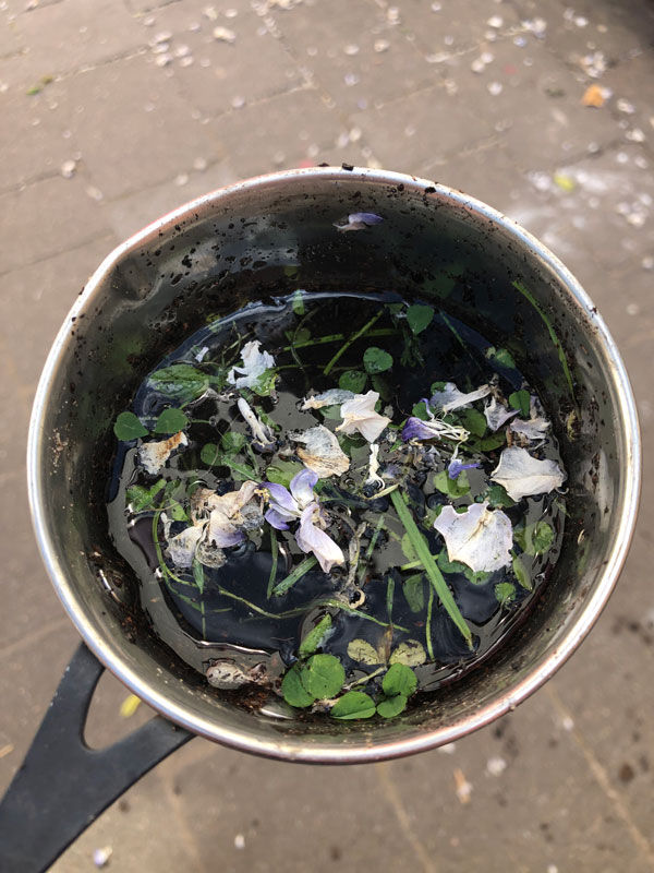 f, ff - flower soup