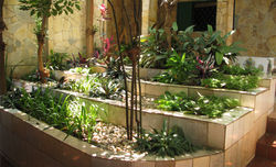 Jardim escalonado