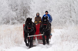 Winter Fun