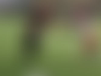 Observations through Week 3