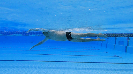 Keho pitkänä Swimyin animaatio