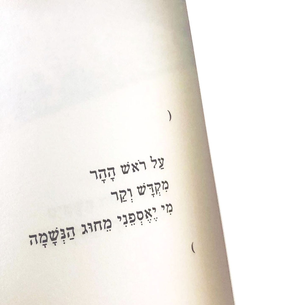 Thumbnail: לֶךְ-לְךָ֛ - שירה חֹרש