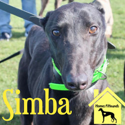 20240324_225018926_iOS