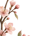 5E278BAF-25C0-46A7-BE07-2DDEAE02C861_edited.png