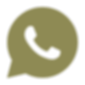 icons8-whatsapp-480.png