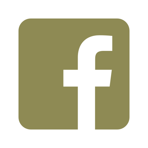 icons8-facebook-480.png