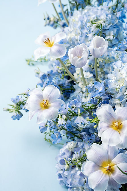 blues by dewiitt and us.jpg