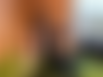 音楽島「波ラジ」のご紹介♪