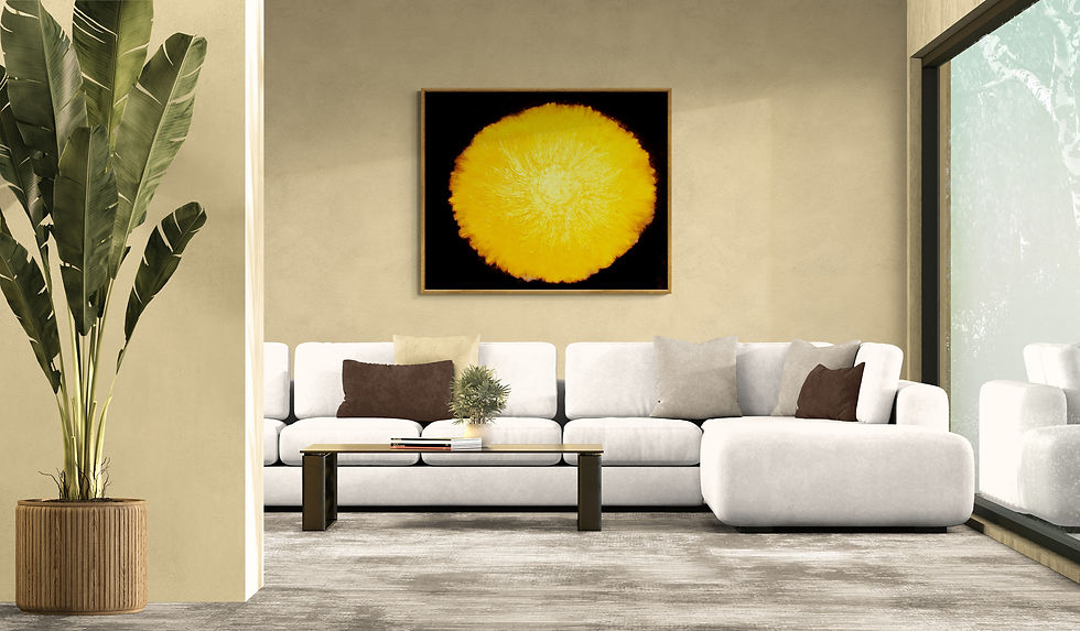 SUN INSIDE