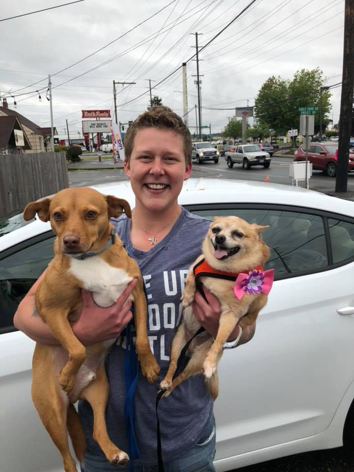 36822042_1874144609554030_5241882184607858688_n