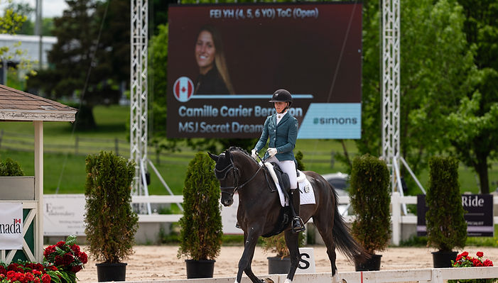 Ottawa Dressage Festival