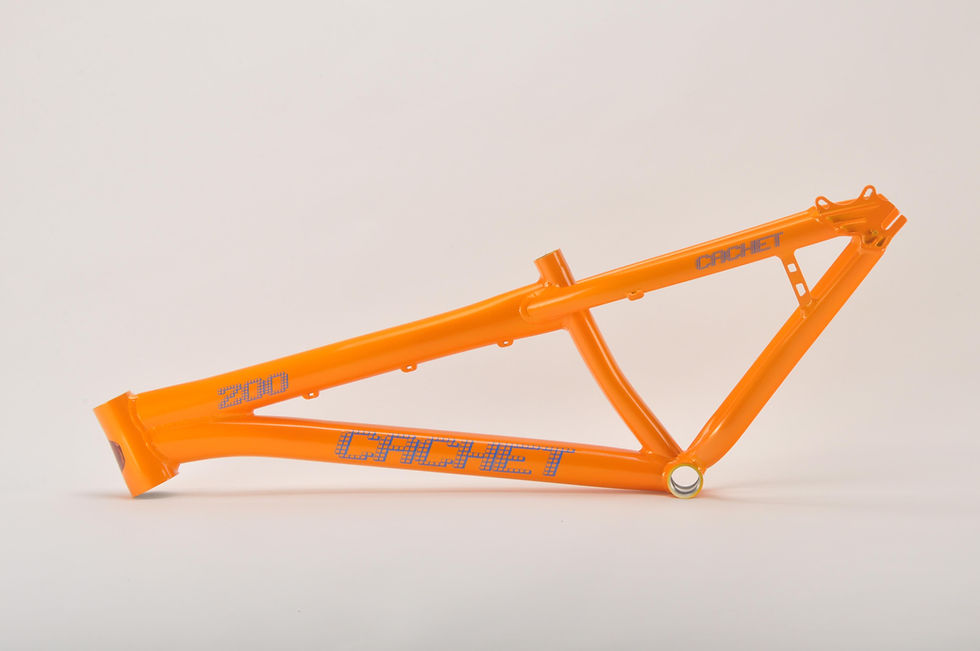 Miniatura: ZOO