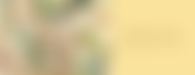 The cooked pasta is added to the sauce