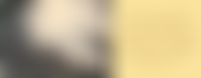 A pan with sizzling garlic