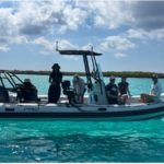 The tail of one of the sperm whales during it’s fluke.
