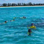 The tail of one of the sperm whales during it’s fluke.