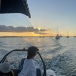 The tail of one of the sperm whales during it’s fluke.