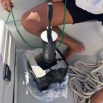 The tail of one of the sperm whales during it’s fluke.
