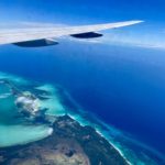 The tail of one of the sperm whales during it’s fluke.
