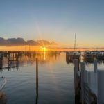The tail of one of the sperm whales during it’s fluke.