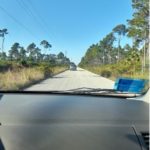 The tail of one of the sperm whales during it’s fluke.