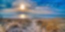 Oval Beach Psalm 136