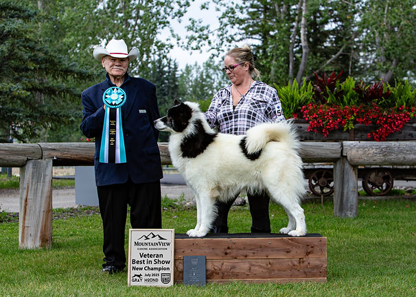 MVCA25Win-Sherri.jpg