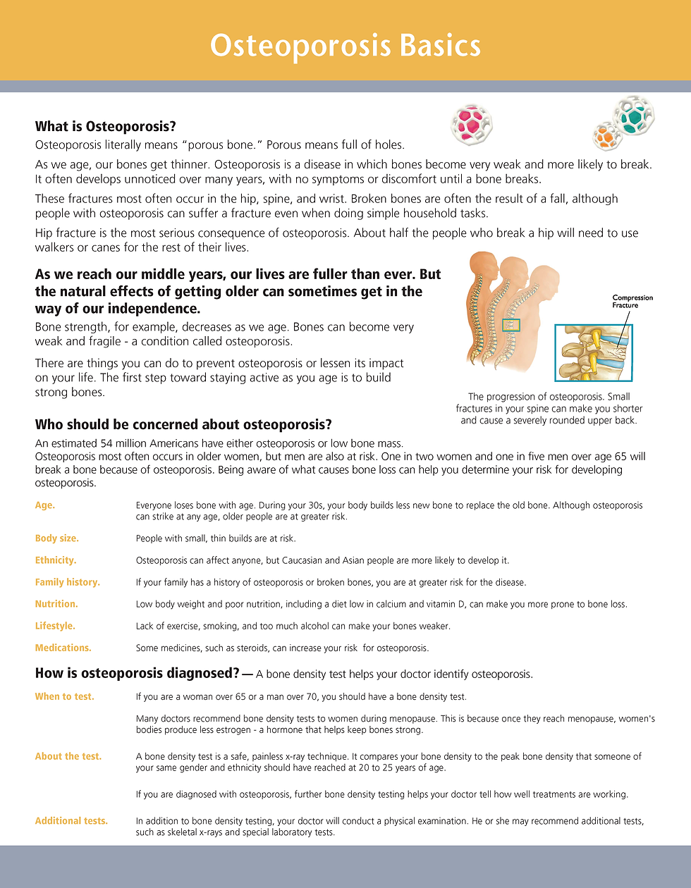 31523_HBCC-Osteoporosis DEXA Flyer-Updated Logo_Page_1