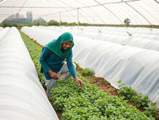 Top Agriculture Infrastructure Schemes in Indian States: Empowering Farmers with Better Infra