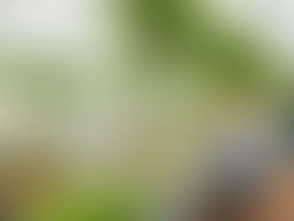 PM Dhan Dhaanya Krishi Yojana benefits for farmers- training , crop diversification, storage facilities, and allied income opportunities - with focus on sustainable agriculture and rural development.