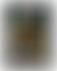 elegant dining dark and moody dining room table spread, tablescape for thanksgiving with a large beautiful turkey, black candles and gilded accessories, dark and moody thanksgiving