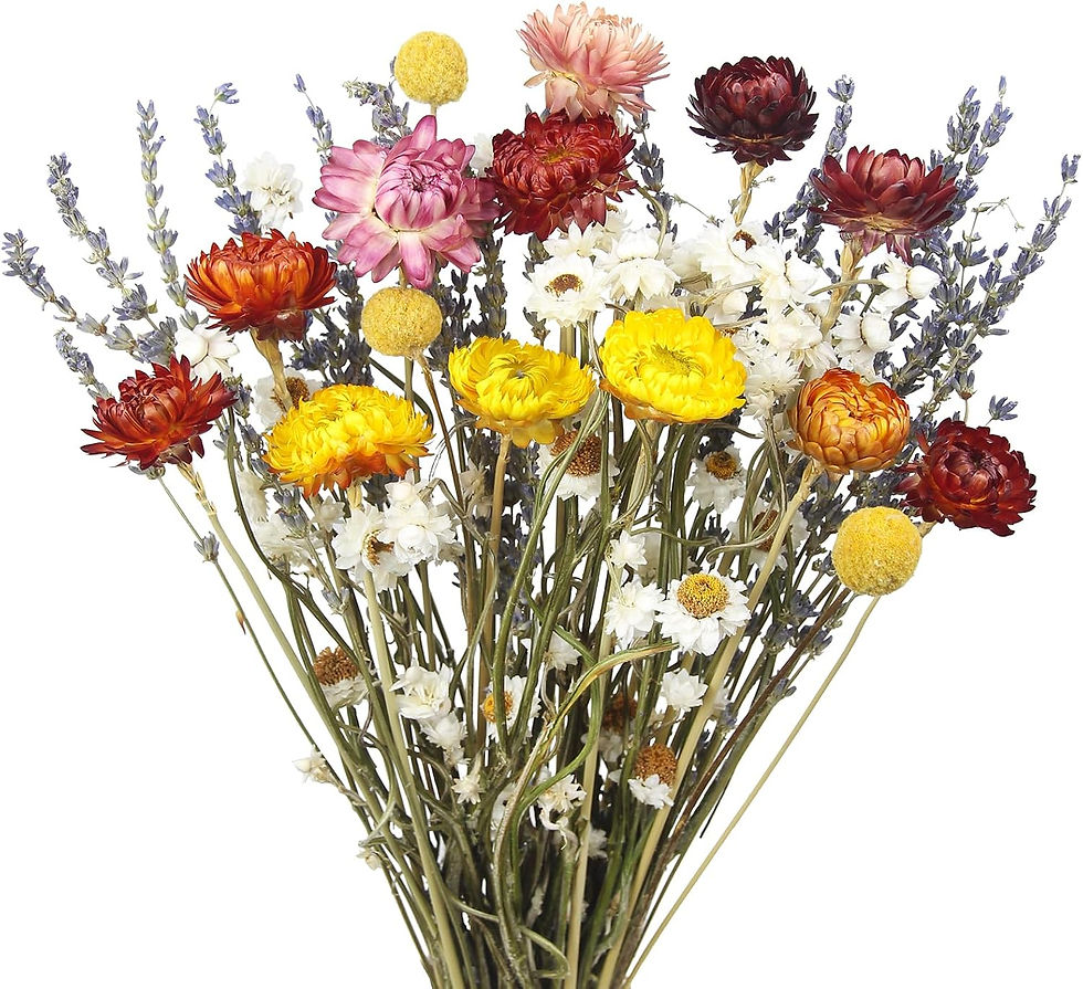 Dried bouquet of yellow, pink, red, white, and lavender flowers on a white background.