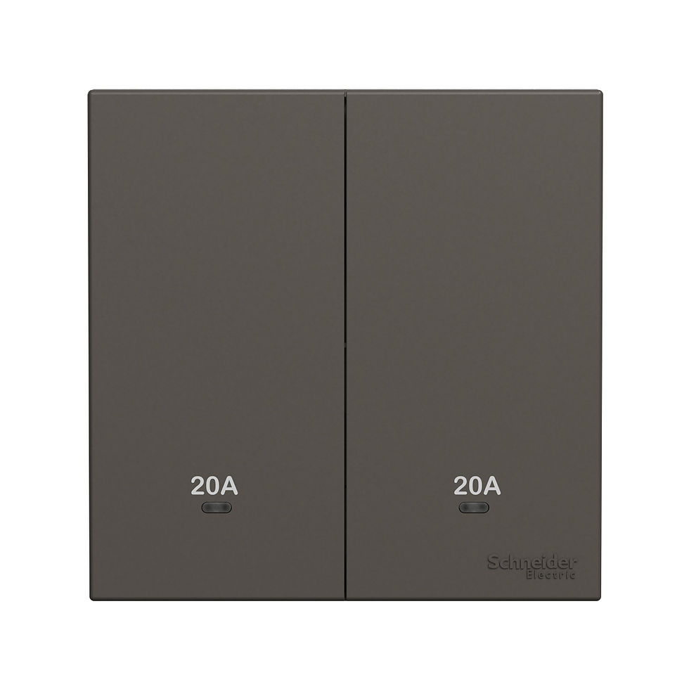 施耐德 奐然AvatarOn C 石墨灰 20A孖位 燈曲